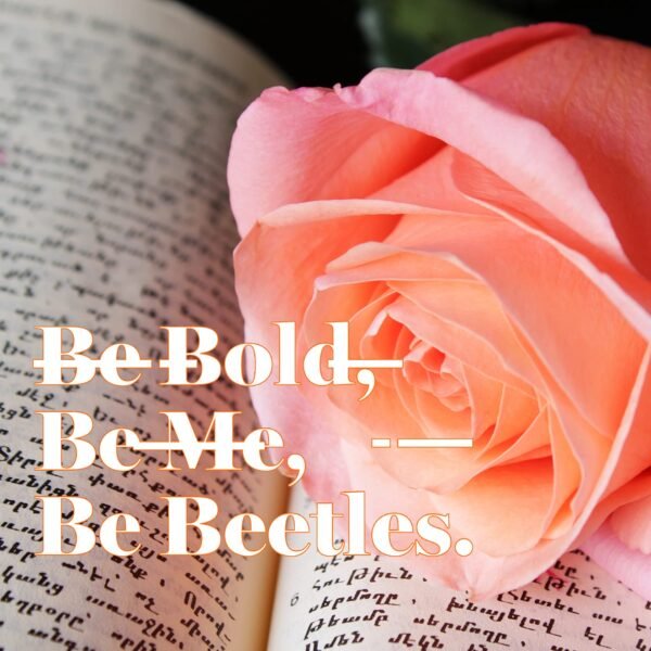 image_8_ae59e70f-8453-4e82-b1c7-30aeb13431c3 image_8_ae59e70f-8453-4e82-b1c7-30aeb13431c3