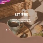 image_8_c39f300d-6af3-4566-8cb2-2eb4191f09ab