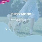 image_8_f9ab4310-ede2-49e3-833e-0348ea0e657a